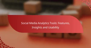 Social Media Analytics Tools: Features, Insights and Usability