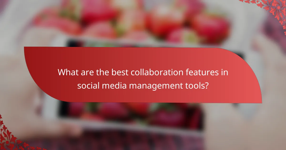 What are the best collaboration features in social media management tools?